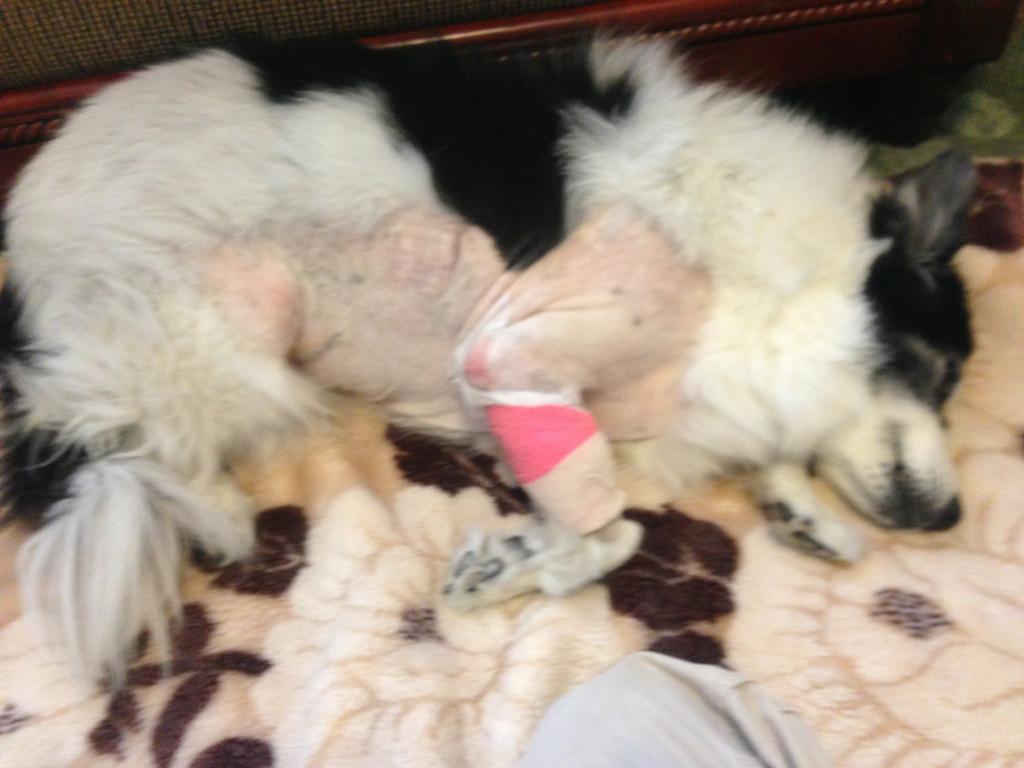 Recovering from her Cancer Operation by All Fields of Concrete